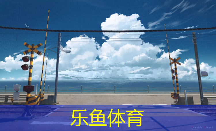 乐鱼体育,阳江网球网施工