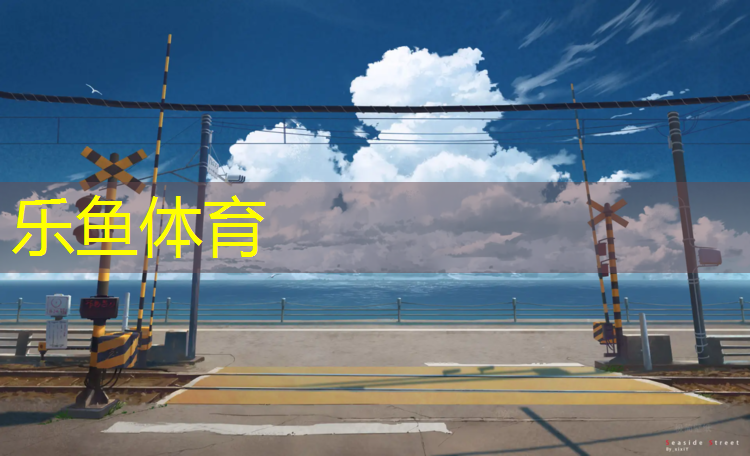 <strong>乐鱼体育,网球网前抢网步伐</strong>