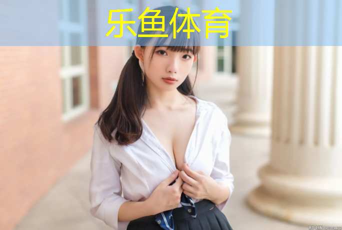<strong>乐鱼体育,网球网架建筑</strong>