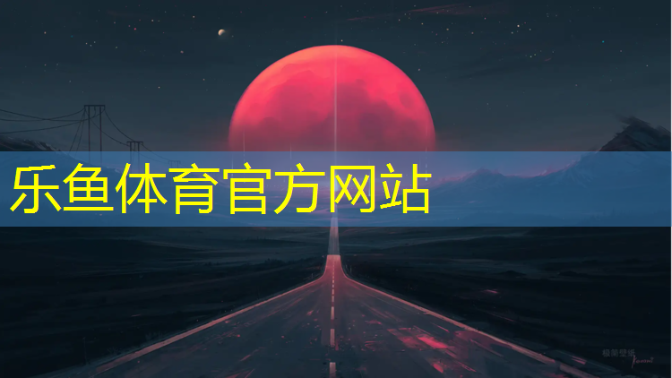 有绳网球网球健身运动